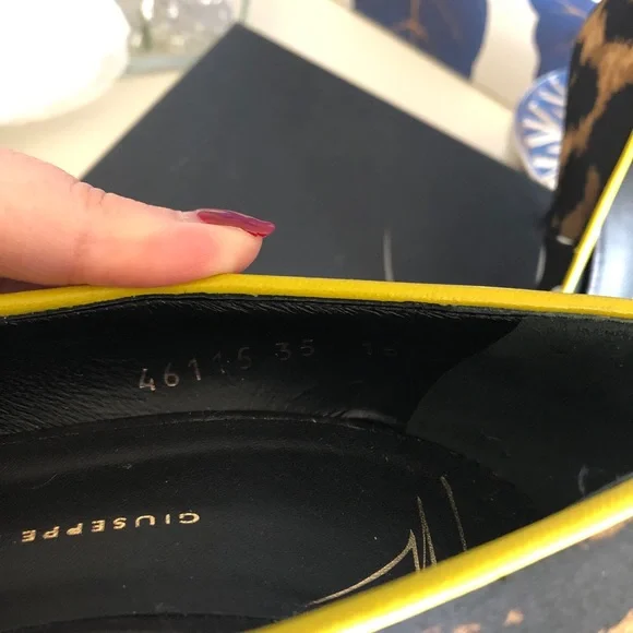 Giuseppe Zanotti Yvette heels pumps - Picture 14 of 16